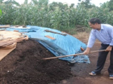 Hướng dẫn tự ủ phân hữu cơ vi sinh tại nhà vườn đúng cách
