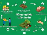 NÔNG NGHIỆP TUẦN HOÀN 2026: LỐI THOÁT THÔNG MINH GIỮA BÃO GIÁ VẬT TƯ