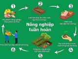 Nông Nghiệp Tuần Hoàn 2026: Bí Quyết Biến Phụ Phẩm Thành Vàng 