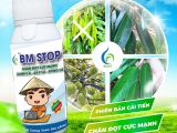 BM STOP – ដំណោះស្រាយច្នៃប្រឌិតដើម្បីបញ្ឈប់ការលូតលាស់ផ្ចិត កំចាត់ផ្កា និងថែទាំផ្លែទុរ្ងានឱ្យមានប្រសិទ្ធភាព។