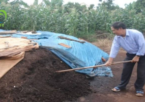 Hướng dẫn tự ủ phân hữu cơ vi sinh tại nhà vườn đúng cách