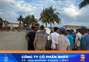 Dự án trồng lúa Việt Nam tại Cuba: Kỳ tích năng suất 7,2 tấn/ha