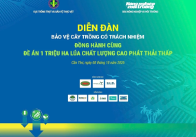 Mô Hình 1 Triệu Ha Lúa Phát Thải Thấp: Tín Chỉ Carbon Cho Nông Dân