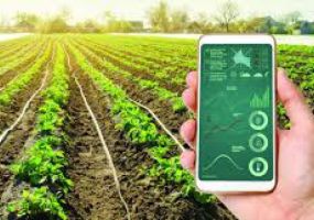 CHUYỂN ĐỔI SỐ NÔNG NGHIỆP 2026: KHI NHÀ NÔNG LÀM CHỦ CÔNG NGHỆ DATA