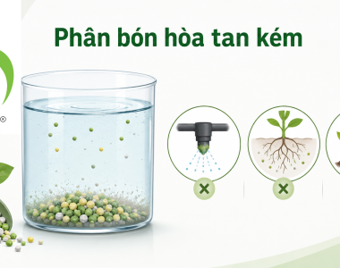 Độ Hòa Tan Phân Bón Ảnh Hưởng Gì Đến Cây?