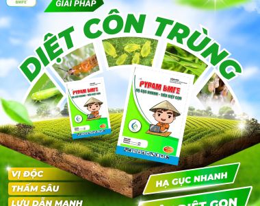PYRAM BMFE – Giải pháp diệt côn trùng chích hút hiệu quả, tác động nhanh và triệt để