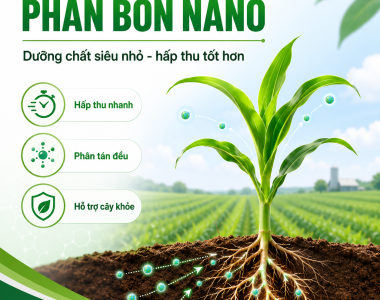 Phân Bón Nano Là Gì? Lợi Ích Cho Cây Trồng