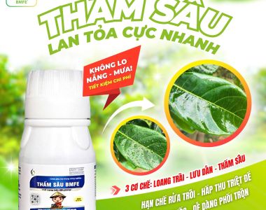 THẤM SÂU BMFE – Giải pháp công nghệ cho nông nghiệp hiệu quả