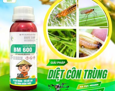 BM600 – Giải pháp tiêu diệt côn trùng gây hại kháng thuốc hiệu quả từ BMFE CORP