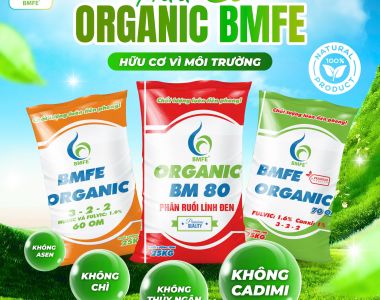 ORGANIC BMFE – Giải Pháp Phân Bón Hữu Cơ An Toàn, Không Kim Loại Nặng