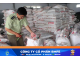 Nguy cơ phân bón kém chất lượng tăng cao: Ma trận sản phẩm 