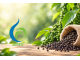 Giá hồ tiêu hôm nay 22/9/2026: Cao nhất 141.000 đồng/kg