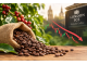 Giá cà phê Robusta tuần qua: Brazil giảm 6,6% sản lượng