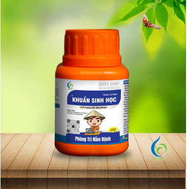 Khuẩn Sinh Học BMFE – Giải Pháp Sinh Học Đặc Trị Héo Xanh, Thối Nhũn, Bạc Lá