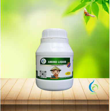 AMINO LIQUID – Dung dịch Amino giúp cây khỏe mạnh, phục hồi nhanh, tăng năng suất
