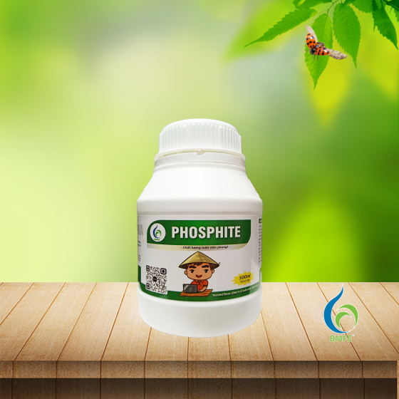 PHOSPHITE BMFE – Giải Pháp Phosphite Thế Hệ Mới Giúp Cây Tăng Sức Đề Kháng & Phát Triển Mạnh Mẽ